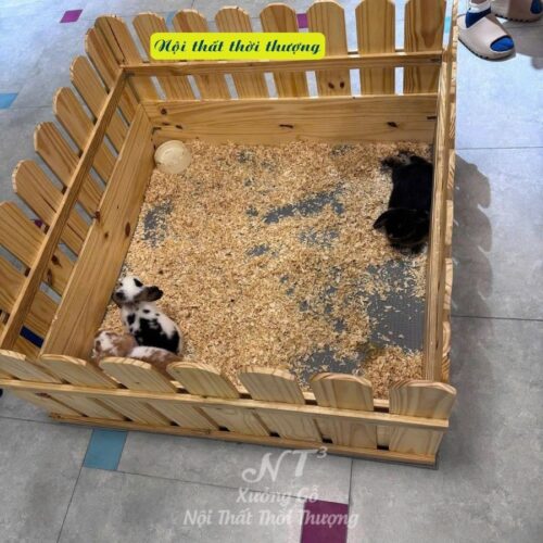 hàng rào thú cưng